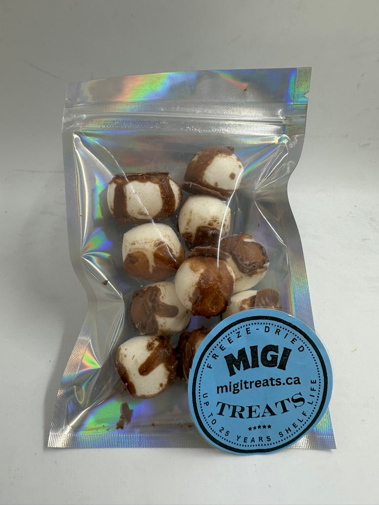 Freeze-Dried Puffy- Crispy Chocolate Vanilla Nougat Candy