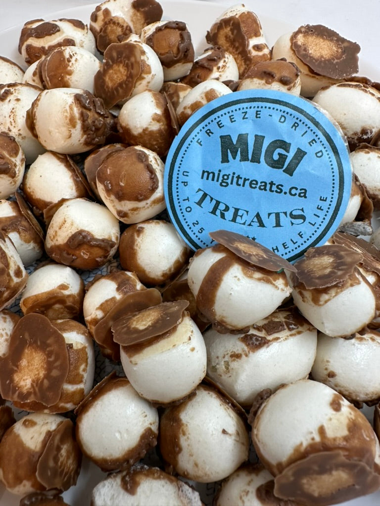 Freeze-Dried Puffy- Crispy Chocolate Vanilla Nougat Candy