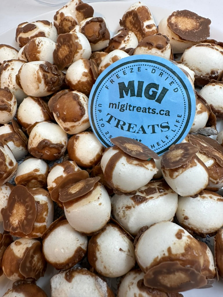 Freeze-Dried Puffy- Crispy Chocolate Vanilla Nougat Candy