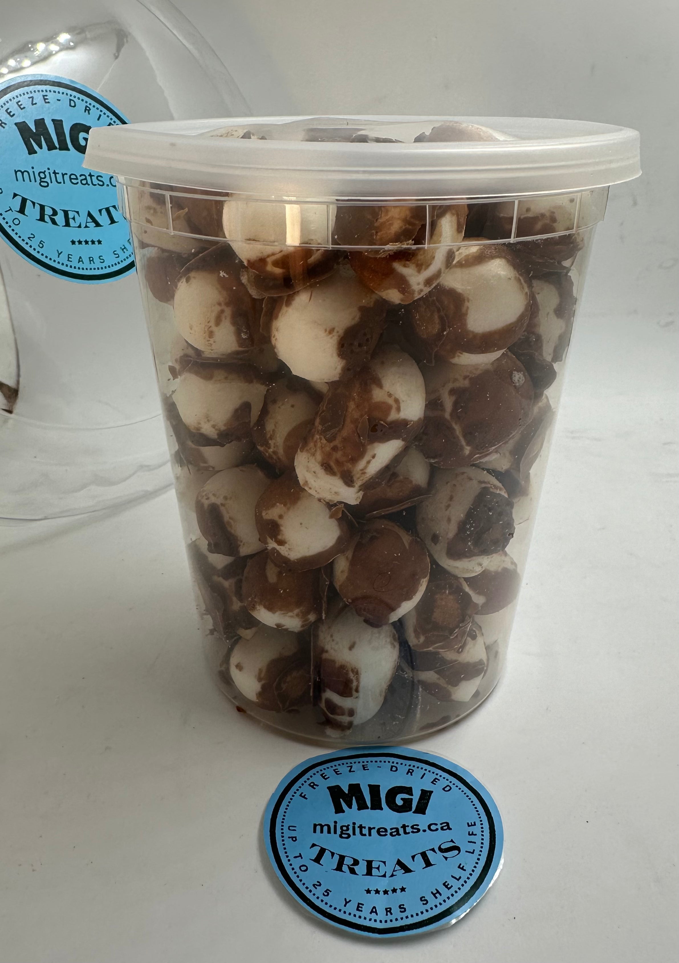 Freeze-Dried Puffy- Crispy Chocolate Vanilla Nougat Candy
