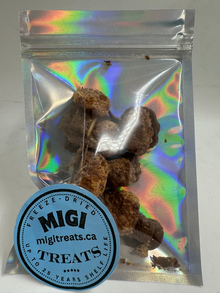 Freeze-Dried Puffy Crispy Caramel Cookie