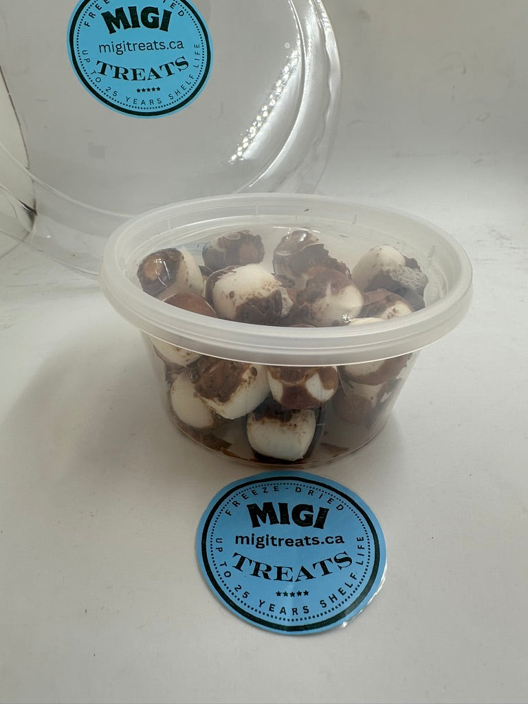 Freeze-Dried Puffy- Crispy Chocolate Vanilla Nougat Candy