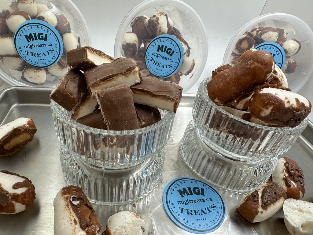 Freeze-Dried Puffy- Crispy Chocolate Vanilla Nougat Candy