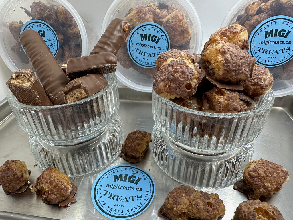 Freeze-Dried Puffy Crispy Caramel Cookie